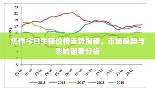 焦作今日生猪价格走势揭秘，市场趋势与影响因素分析