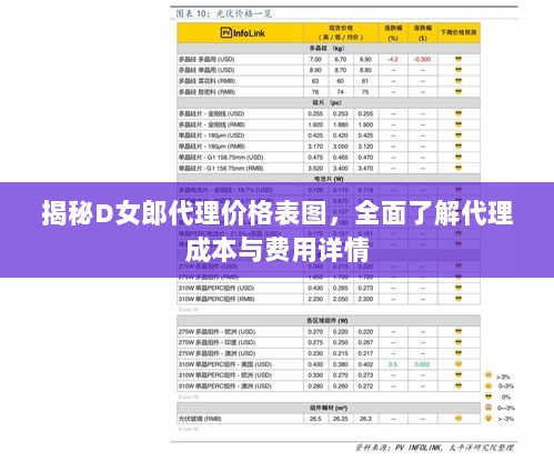 揭秘D女郎代理价格表图，全面了解代理成本与费用详情