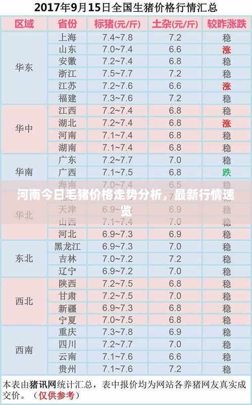 河南今日毛猪价格走势分析，最新行情速览