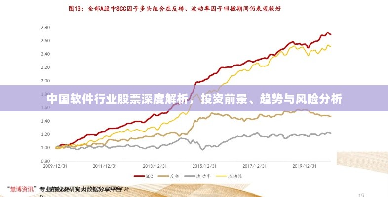 中国软件行业股票深度解析，投资前景、趋势与风险分析