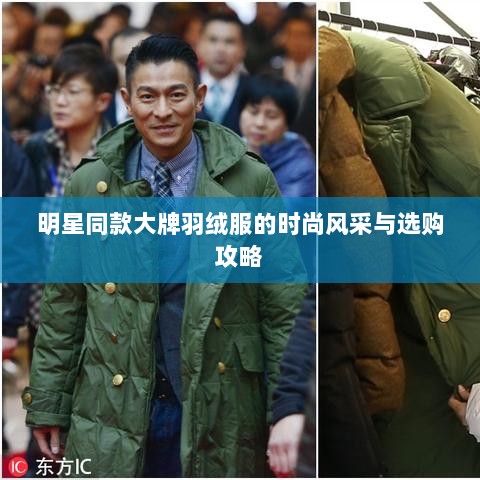 明星同款大牌羽绒服的时尚风采与选购攻略