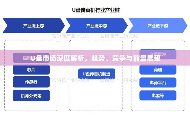 U盘市场深度解析，趋势、竞争与前景展望