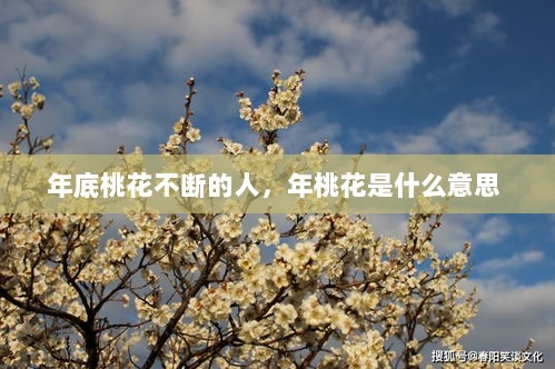 年底桃花不断的人，年桃花是什么意思 