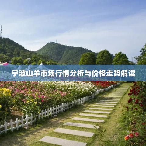 宁波山羊市场行情分析与价格走势解读