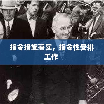 指令措施落实，指令性安排工作 