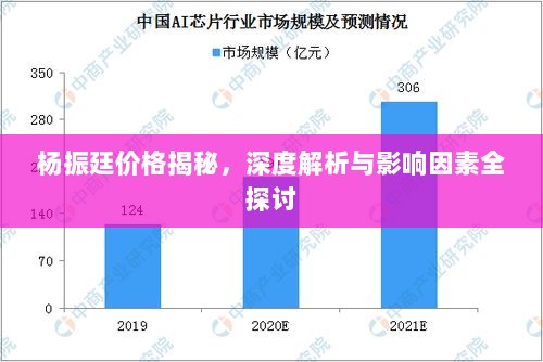 杨振廷价格揭秘，深度解析与影响因素全探讨