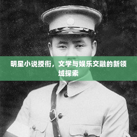 明星小说授衔，文学与娱乐交融的新领域探索