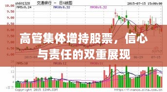 高管集体增持股票，信心与责任的双重展现