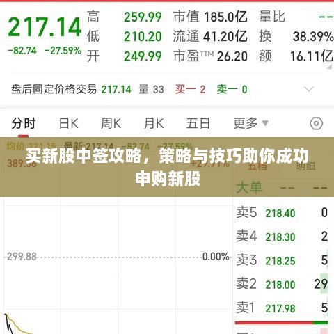 买新股中签攻略，策略与技巧助你成功申购新股