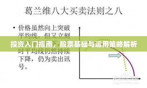 投资入门指南，股票基础与运用策略解析