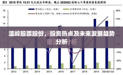 温岭股票股份，投资热点及未来发展趋势分析