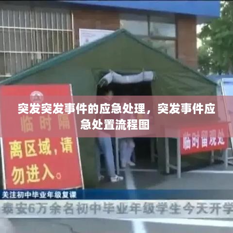 突发突发事件的应急处理，突发事件应急处置流程图 