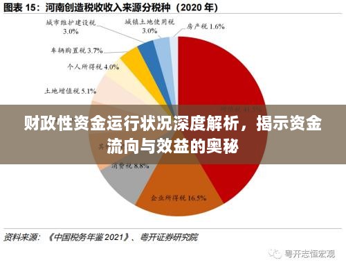 财政性资金运行状况深度解析，揭示资金流向与效益的奥秘