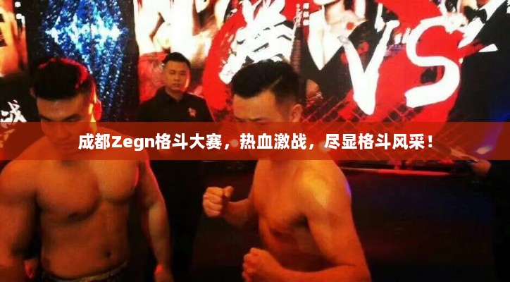 成都Zegn格斗大赛，热血激战，尽显格斗风采！