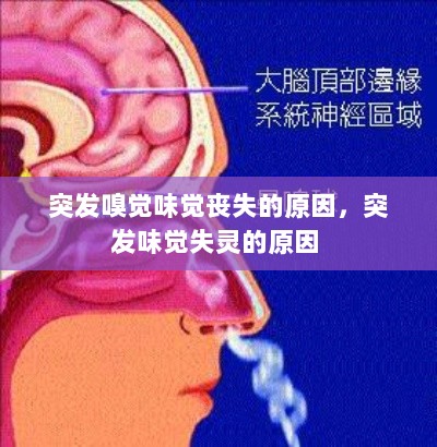 突发嗅觉味觉丧失的原因，突发味觉失灵的原因 