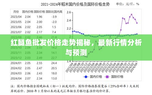 红鲢鱼批发价格走势揭秘，最新行情分析与预测