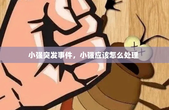 小强突发事件，小强应该怎么处理 