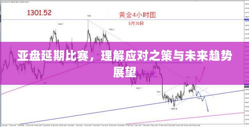 亚盘延期比赛，理解应对之策与未来趋势展望