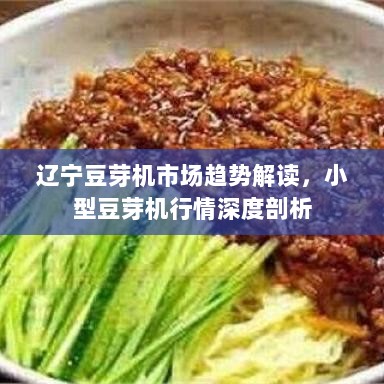 辽宁豆芽机市场趋势解读，小型豆芽机行情深度剖析