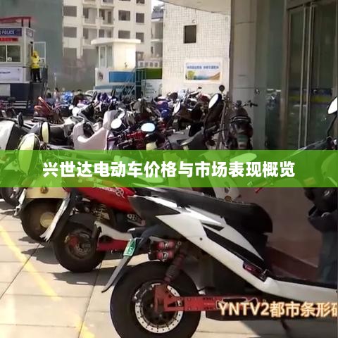 兴世达电动车价格与市场表现概览