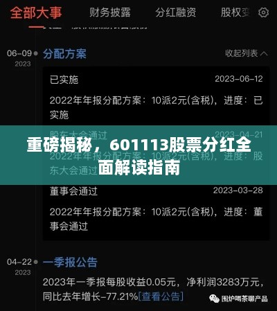 重磅揭秘，601113股票分红全面解读指南