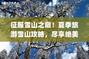 征服雪山之巅！夏季旅游雪山攻略，尽享绝美风光！