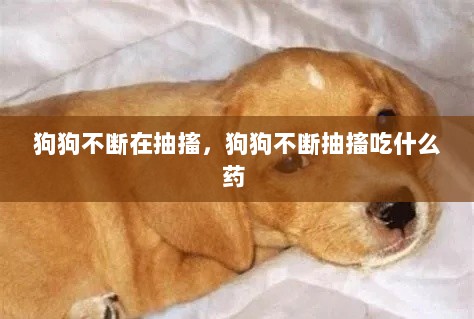 狗狗不断在抽搐，狗狗不断抽搐吃什么药 