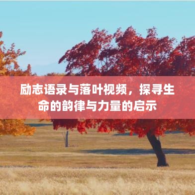 励志语录与落叶视频，探寻生命的韵律与力量的启示