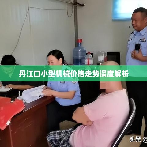 丹江口小型机械价格走势深度解析