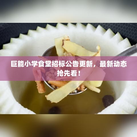 巨能小学食堂招标公告更新，最新动态抢先看！