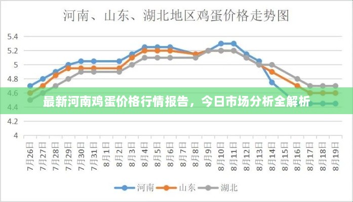 最新河南鸡蛋价格行情报告，今日市场分析全解析