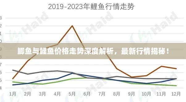 鲫鱼与鲤鱼价格走势深度解析，最新行情揭秘！