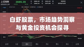 白虾股票，市场趋势洞察与黄金投资机会探寻