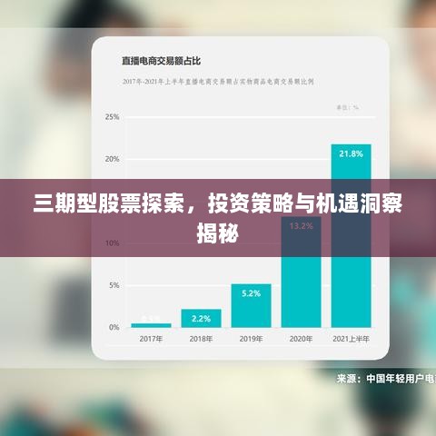 三期型股票探索，投资策略与机遇洞察揭秘