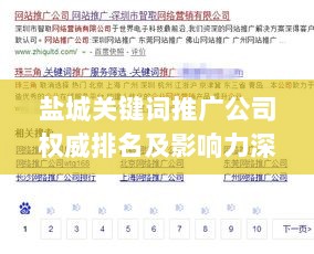 盐城关键词推广公司权威排名及影响力深度剖析