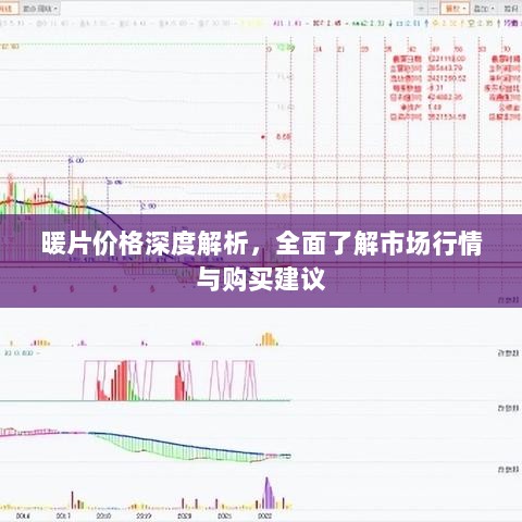 暖片价格深度解析，全面了解市场行情与购买建议