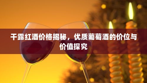 干露红酒价格揭秘，优质葡萄酒的价位与价值探究