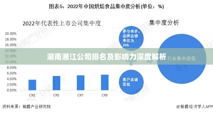 湖南湘江公司排名及影响力深度解析