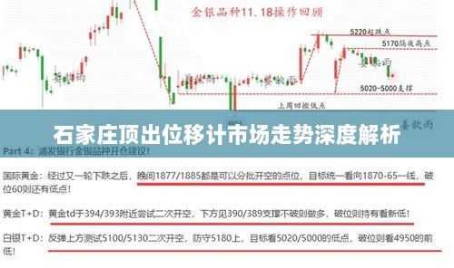 石家庄顶出位移计市场走势深度解析