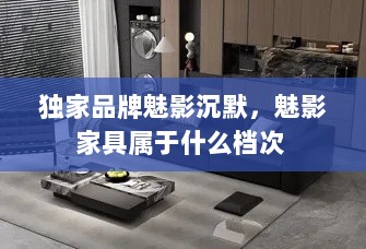 独家品牌魅影沉默，魅影家具属于什么档次 