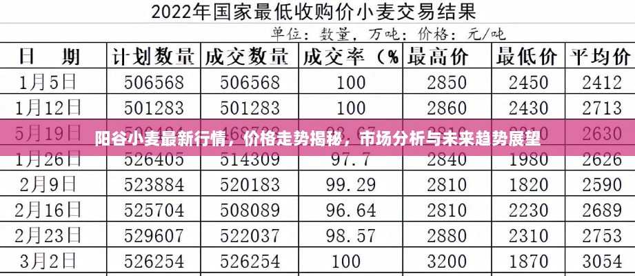 阳谷小麦最新行情，价格走势揭秘，市场分析与未来趋势展望