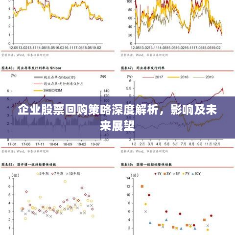 企业股票回购策略深度解析，影响及未来展望