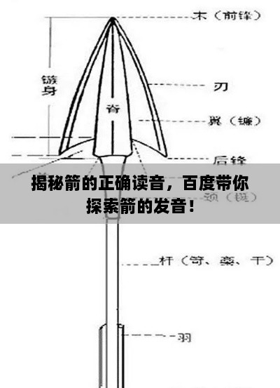 揭秘箭的正确读音，百度带你探索箭的发音！