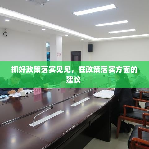 抓好政策落实见见，在政策落实方面的建议 