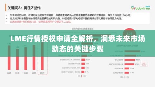 LME行情授权申请全解析，洞悉未来市场动态的关键步骤