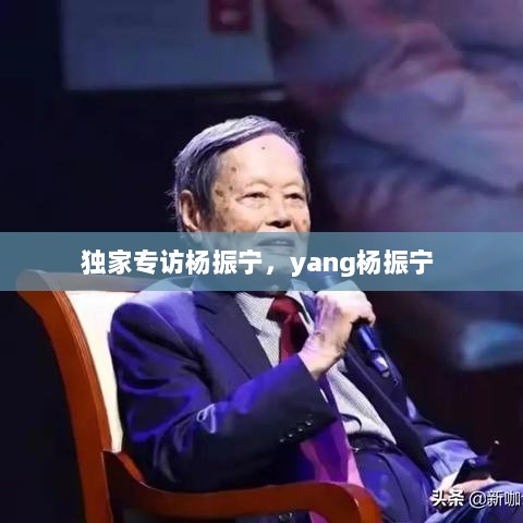 独家专访杨振宁，yang杨振宁 