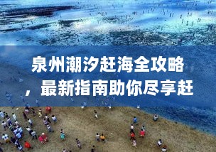 泉州潮汐赶海全攻略，最新指南助你尽享赶海乐趣！