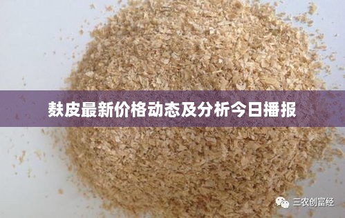 麸皮最新价格动态及分析今日播报