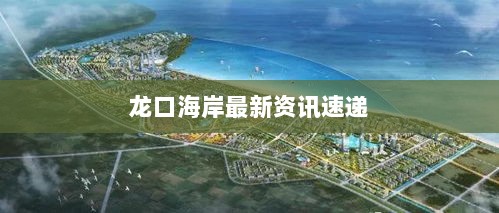 龙口海岸最新资讯速递