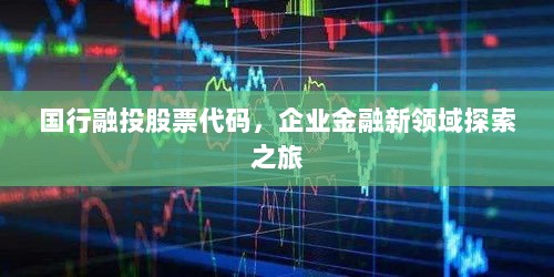 国行融投股票代码，企业金融新领域探索之旅